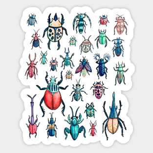 Vintage Watercolor Beetle Species Pattern Sticker